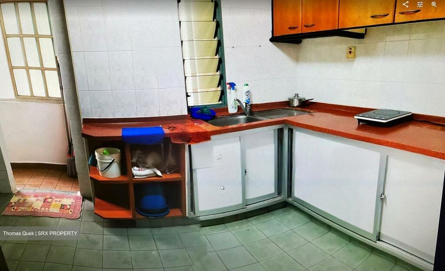 Camellia Lodge (D14), Apartment #482036731